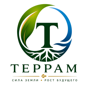 logo2.png